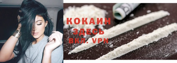 ПСИЛОЦИБИНОВЫЕ ГРИБЫ Аркадак