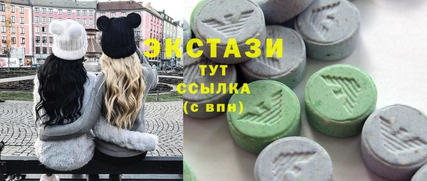 стаф Каменка