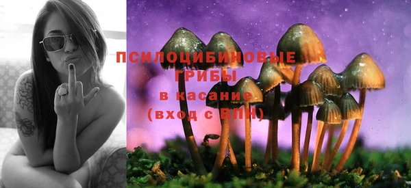 MESCALINE Арсеньев