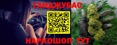 мдпв Будённовск