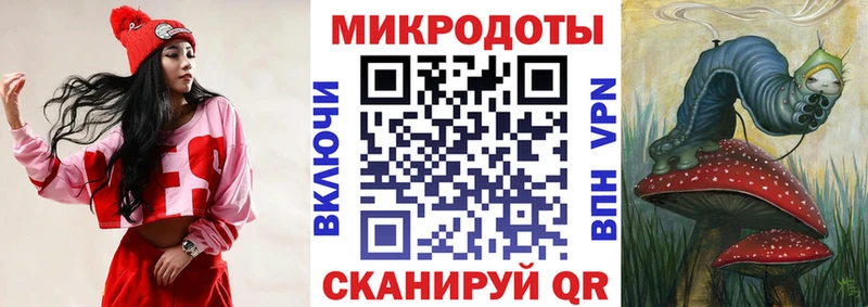 Галлюциногенные грибы Cubensis Гусев