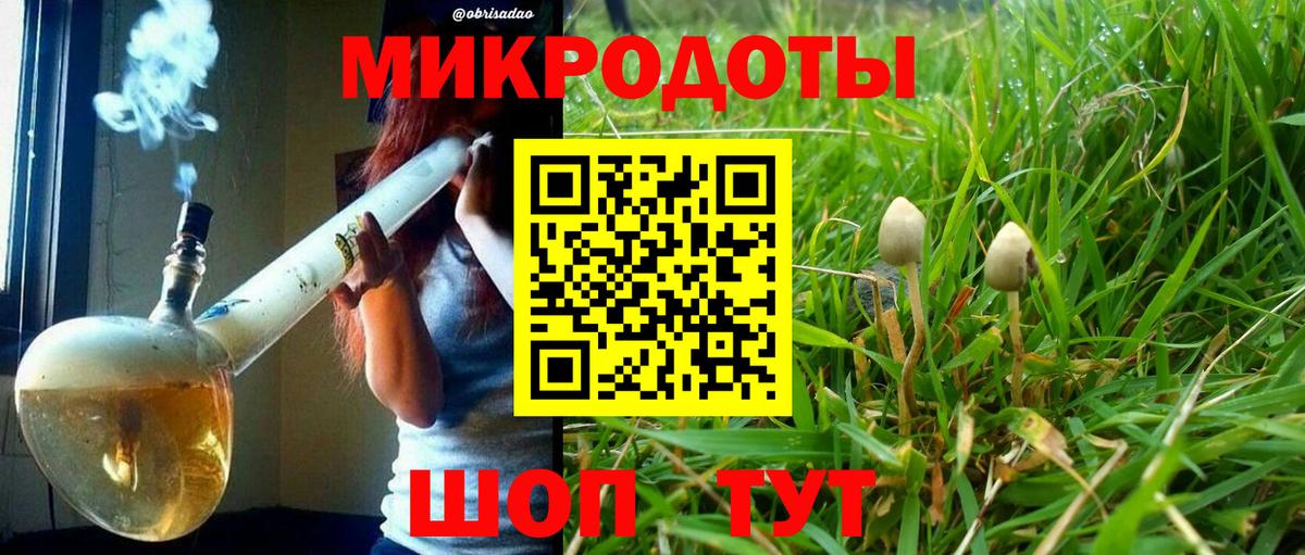 Галлюциногенные грибы мицелий  Вход с VPN  сколько стоит  Гусев 