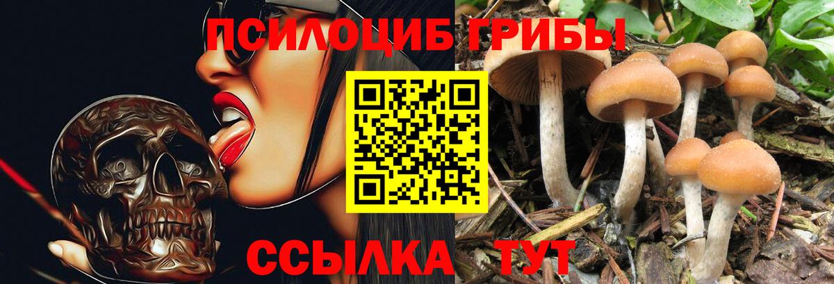 Гусев  Экстази  Гашиш  Cocaine  ГАШИШ  Меф МЯУ МЯУ   LSD-25  Меф  Вход с VPN  Вейп ТГК 